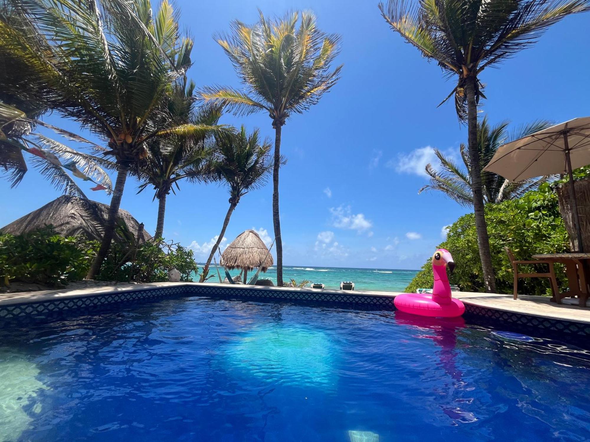 Beachfront Hammock Heaven Akumal Bagian luar foto