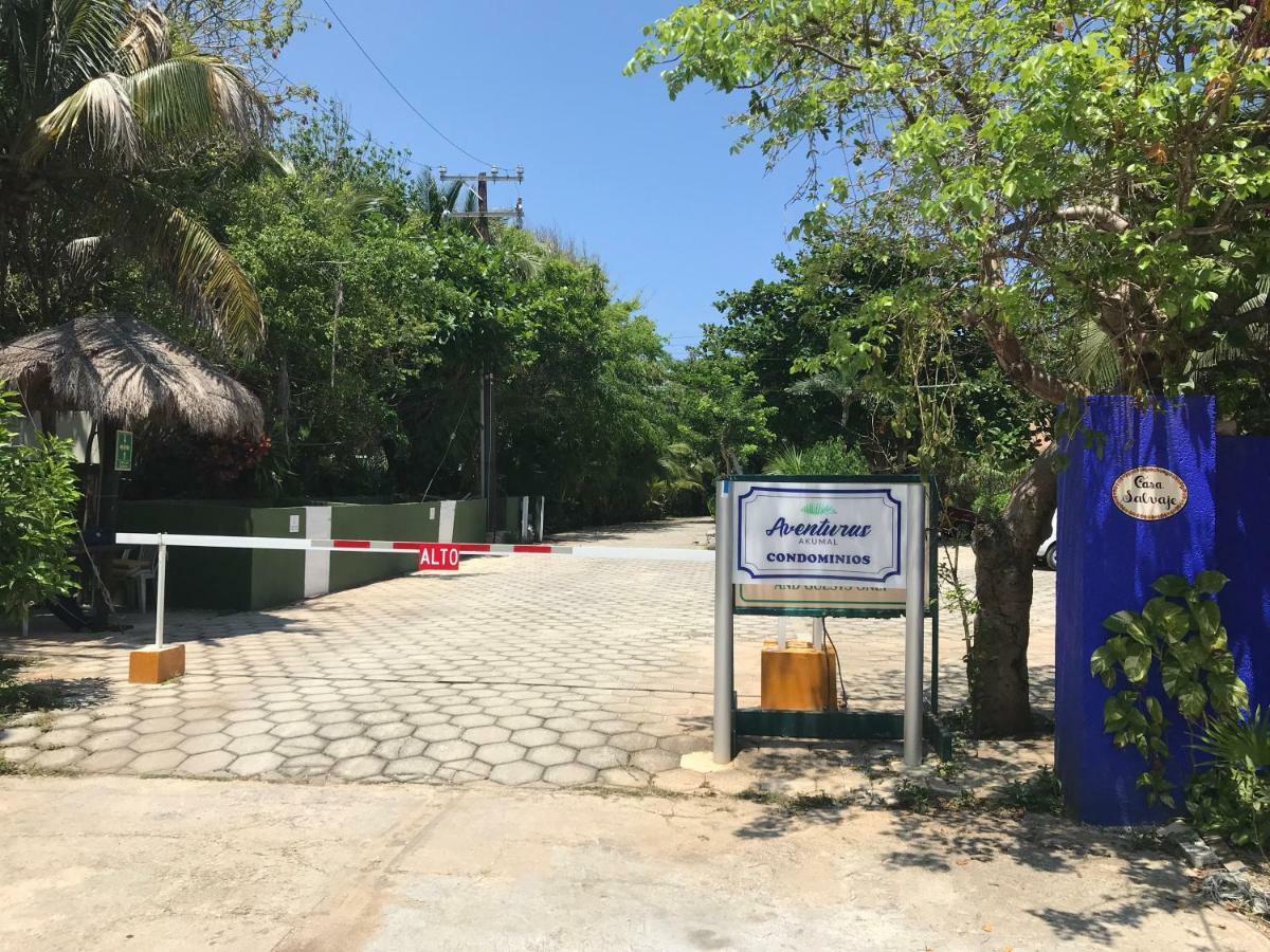 Beachfront Hammock Heaven Akumal Bagian luar foto