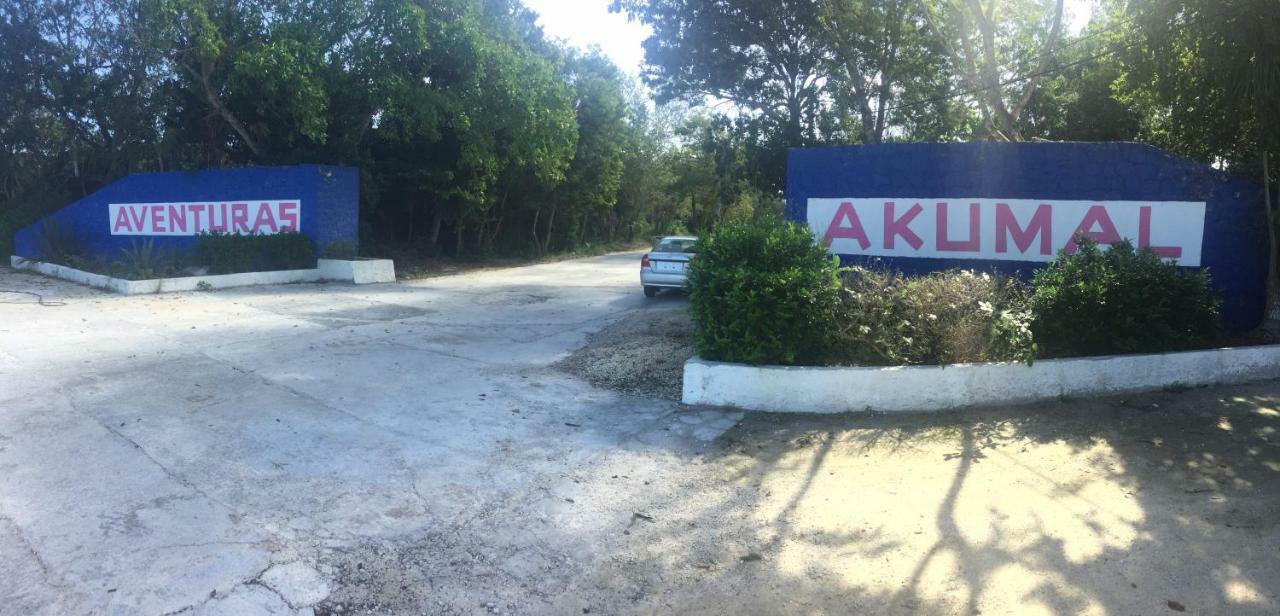 Beachfront Hammock Heaven Akumal Bagian luar foto
